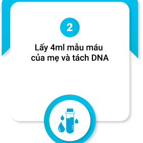 Buoc-2-trong-quy-trinh-xet-nghiem-gioi-tính